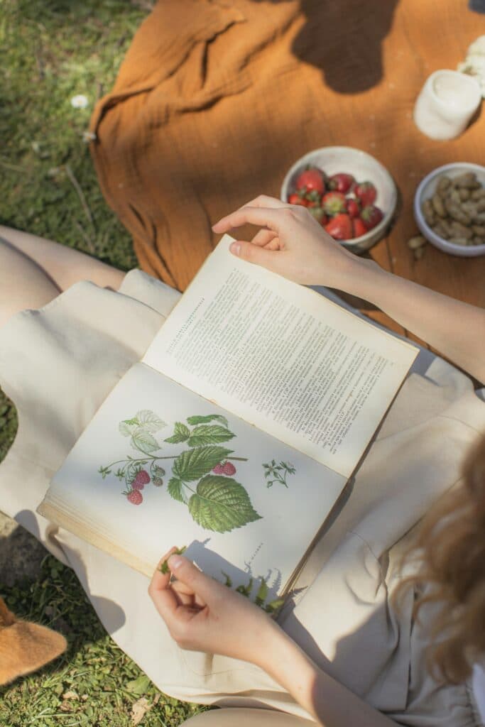 Recommended Summer Reads