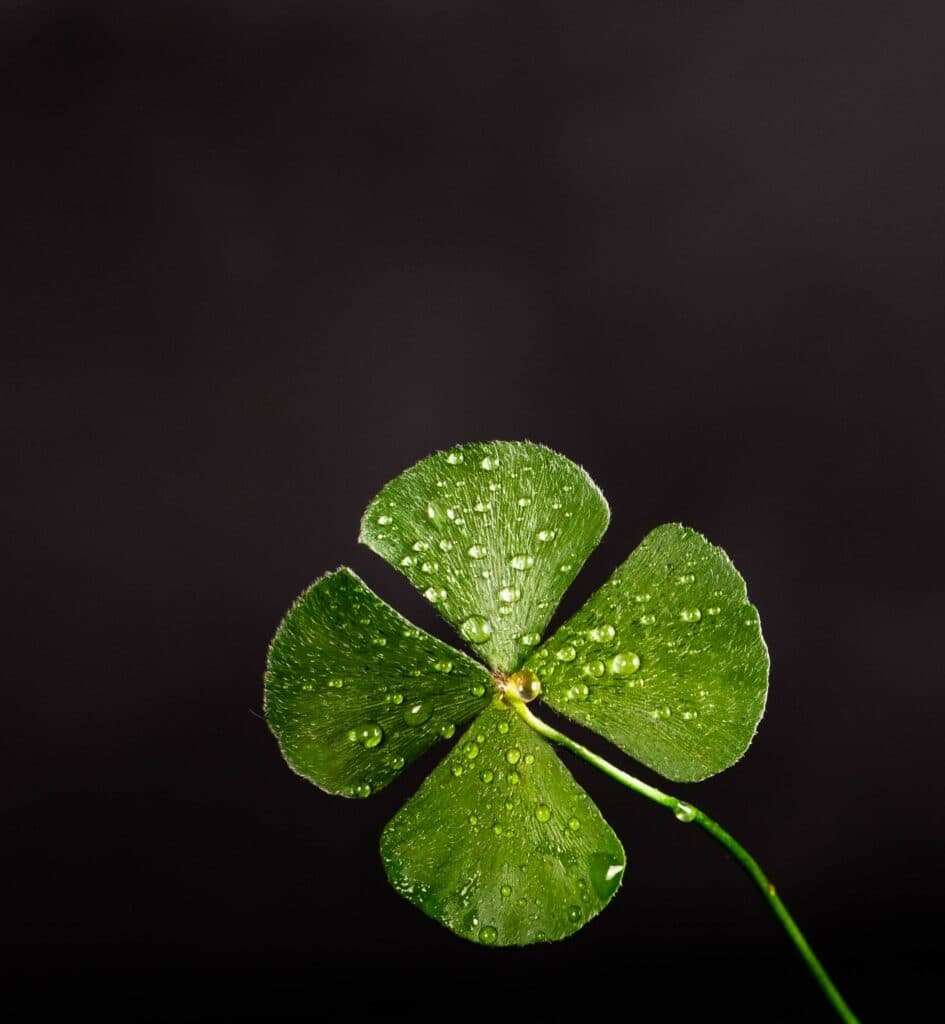 Luck and Leadership